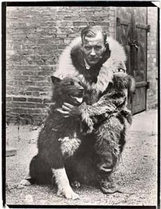Balto, el perro líder de una expedición médica contra la difteria en Alaska en 1925